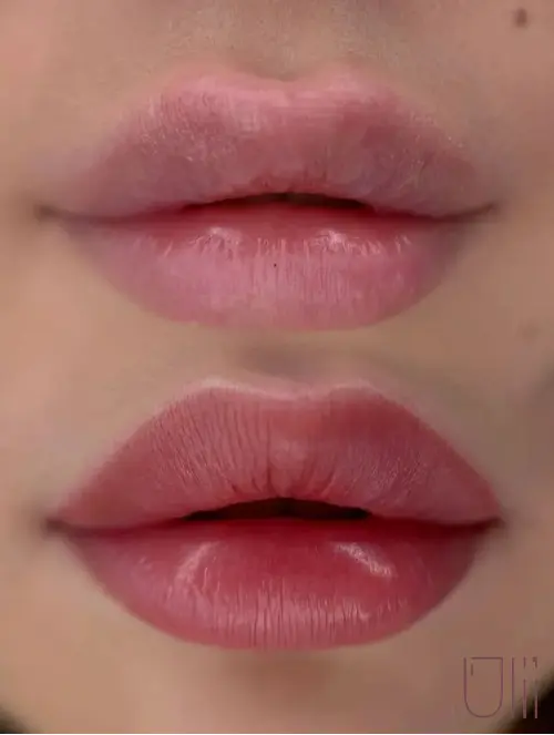 شیدینگ ححرفه ای لب