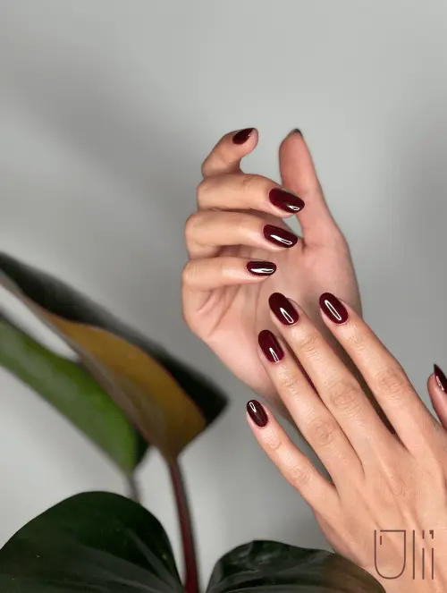 نمونه کار ناخن زرشکی